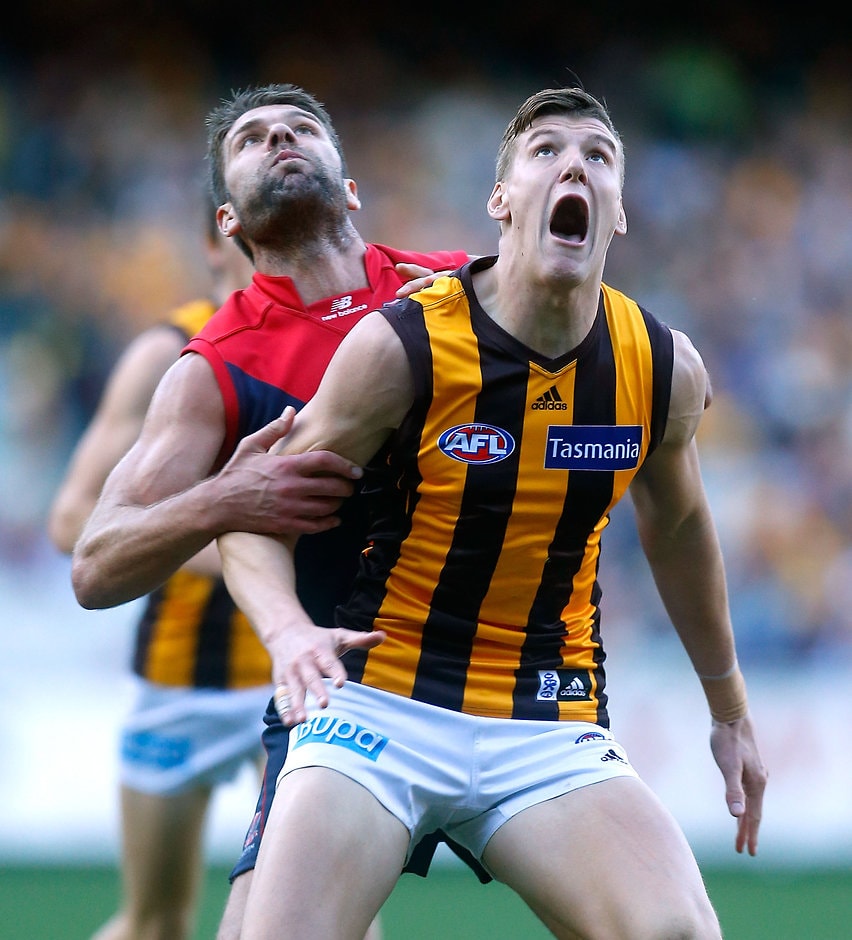 AFL 2013 Rd 10 - Melbourne v Hawthorn Sam Grimley and Mark Jamar, seen here in 2013, may be Essendon teammates this season - ${keywords}